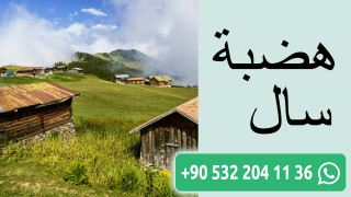 هضبة سال